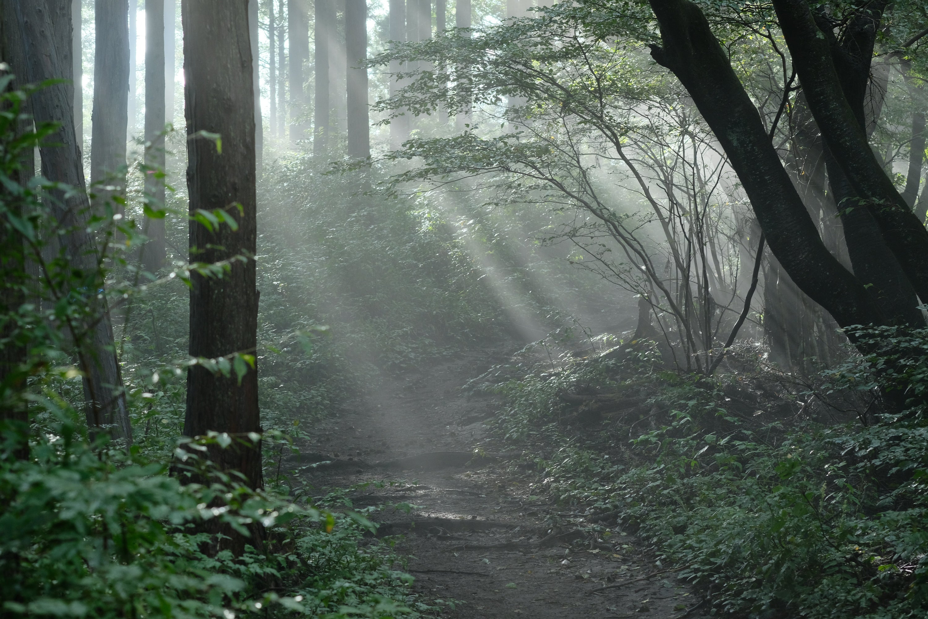 PR TIMESにて「tokono」のブランドストーリーを公開しました