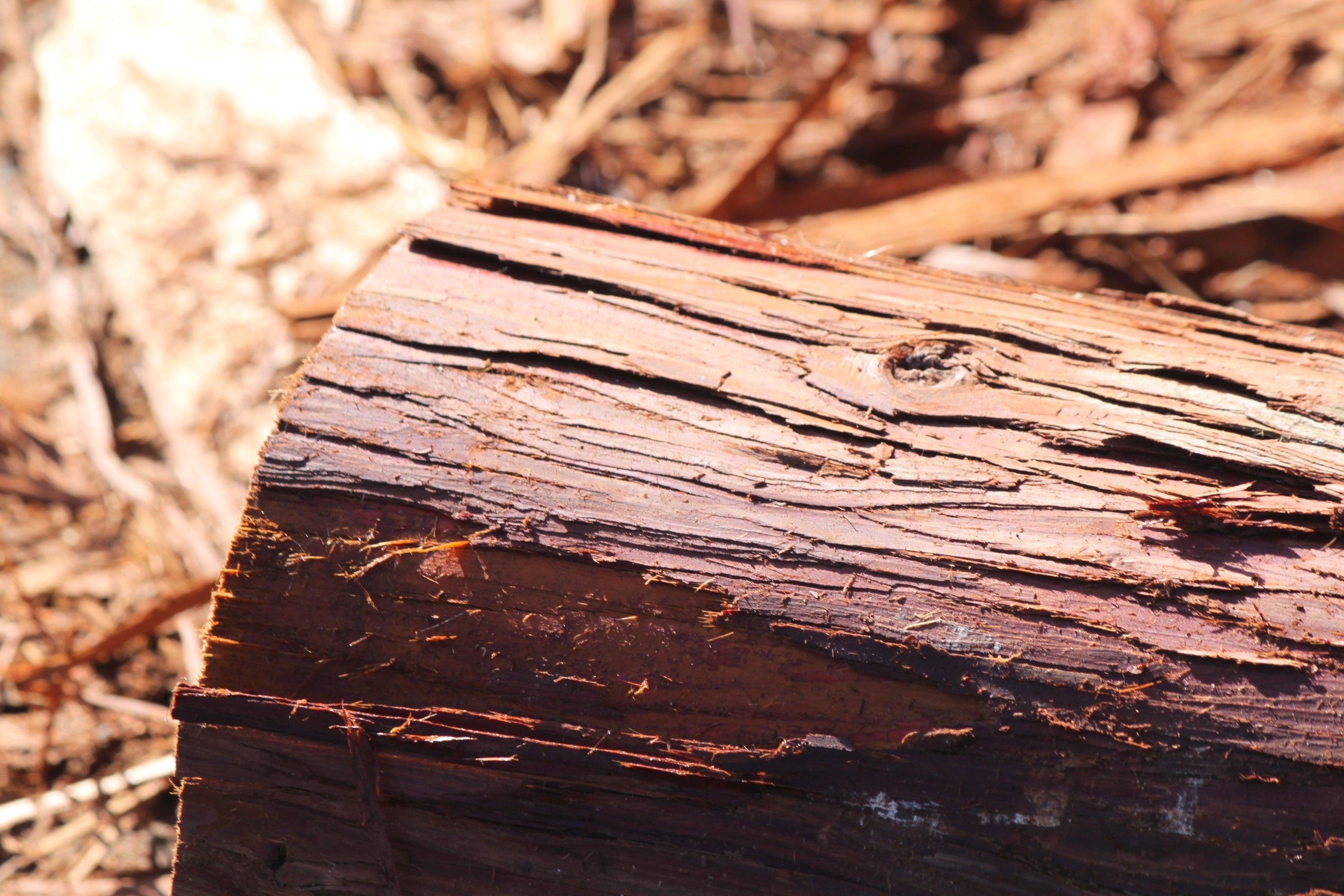 国産材は高い？ー価格に込められた時間と価値