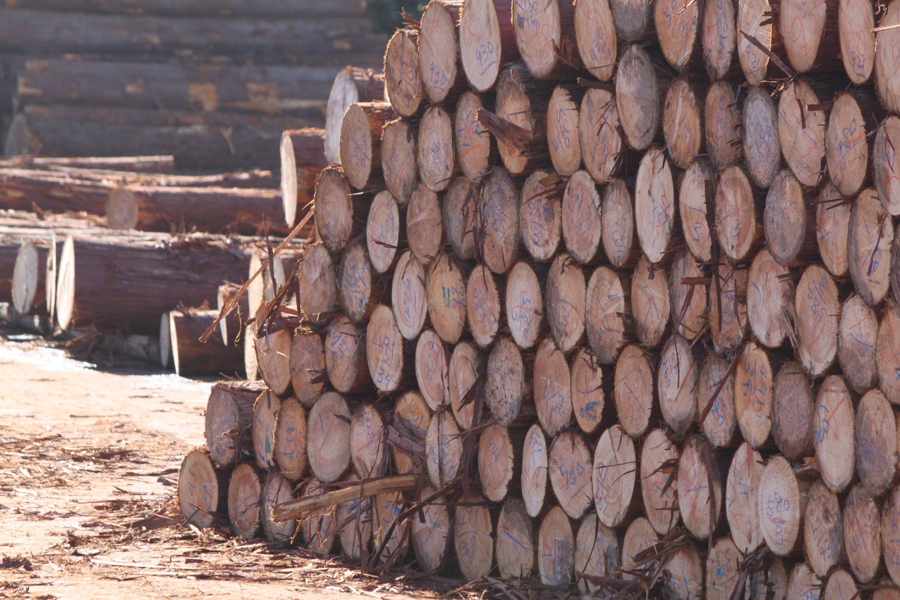 未来の森林、国土のために。　”TSUYAMA FURNITURE” （1/3）