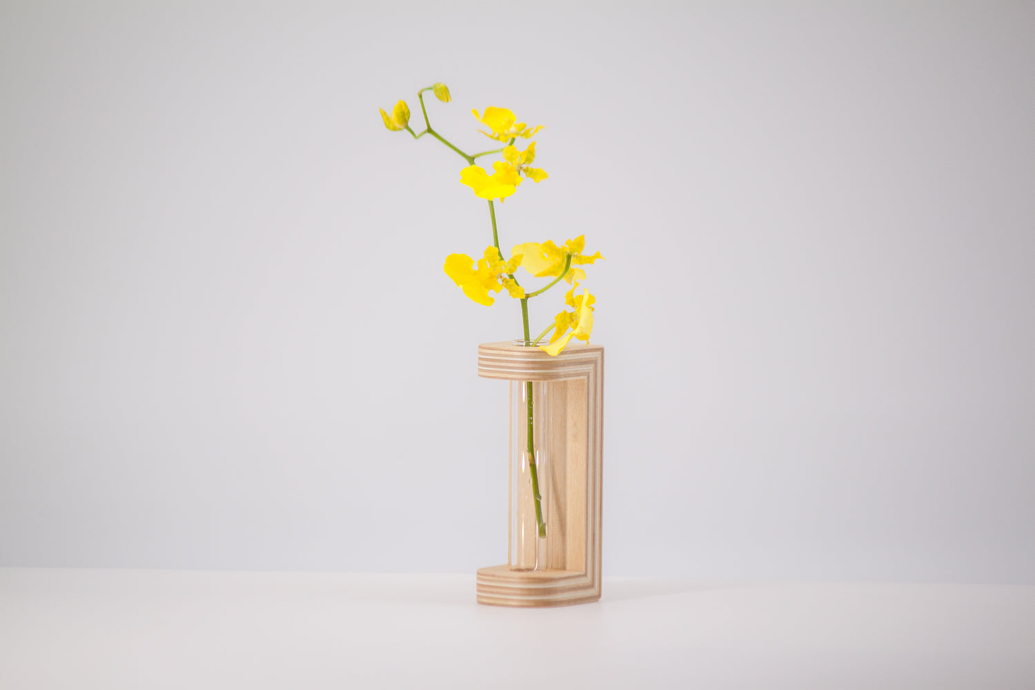 petit dried flower vase