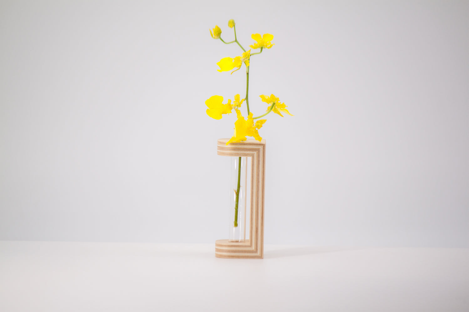 petit dried flower vase