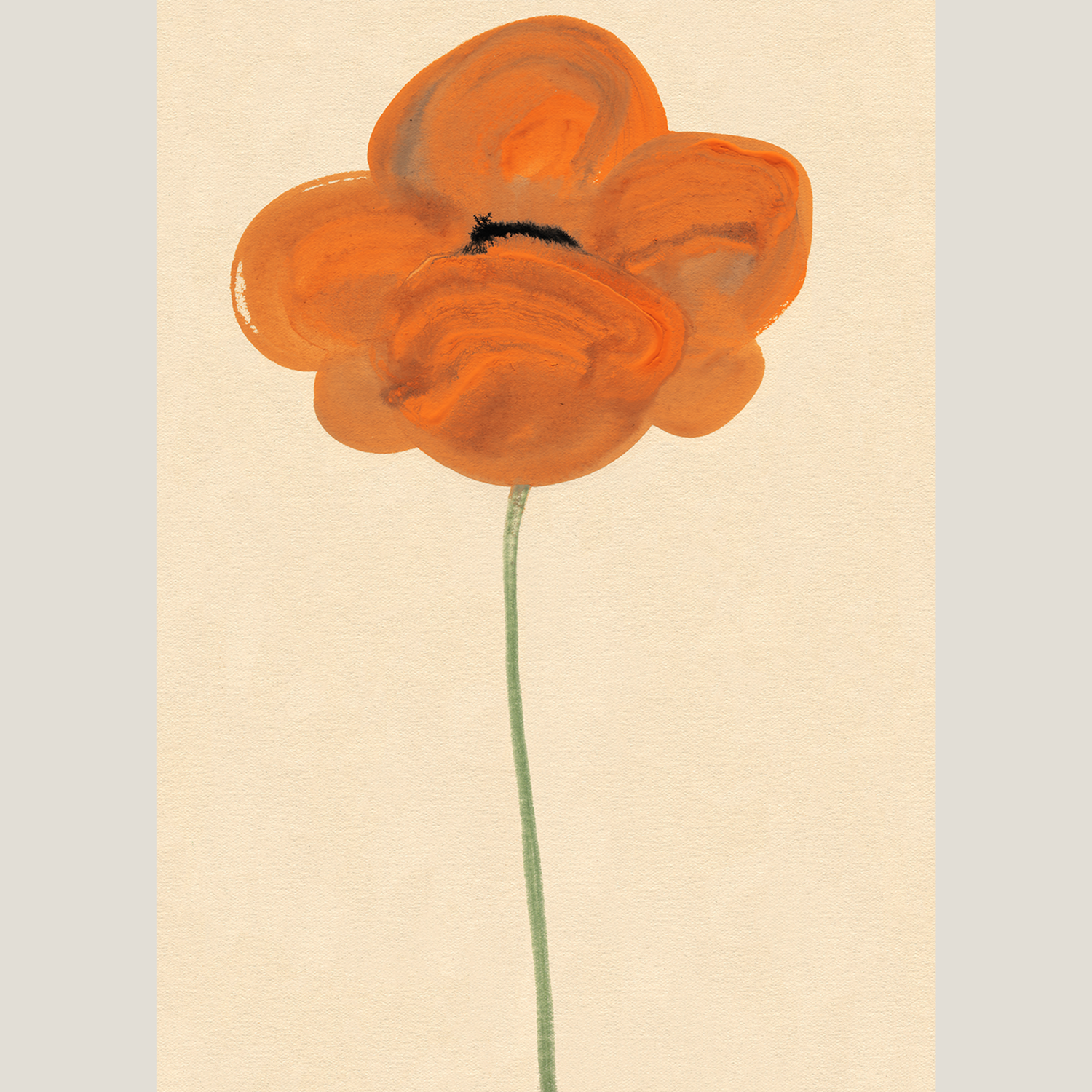 Orange Vallmo 50×70cm