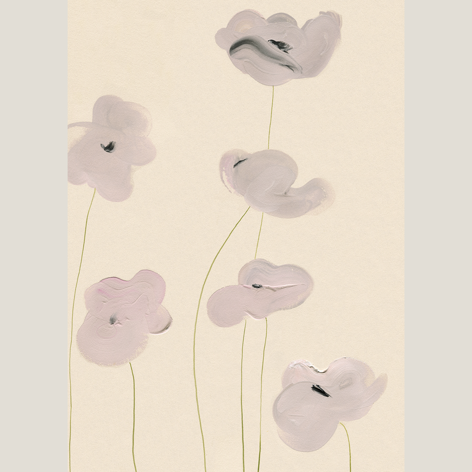 White Vallmo 50×70cm